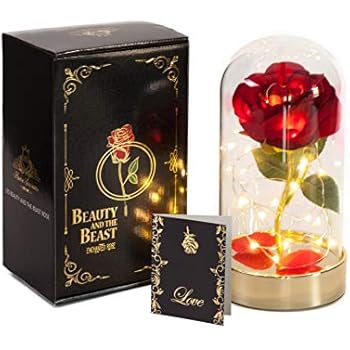 HOMESEASONS Enchanted Rose,Beauty and The Beast Red Rose Pre-Lit Silk Rose in Glass Dome 7 3/4