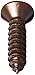 Hard-to-Find Fastener 014973127107 Phillips Oval Decorative Screws, 6 x 5/8, Piece-40, Gold