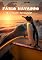 Livro FÁBIO NAVARRO: O pinguim navegador (Série Pai e Filho)