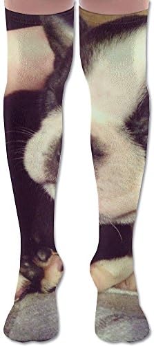FJVDFFF Boston Terrier Puppy Compression Socks BEST Stockings For Running, Medical,Athletic,Edema,Diabetic,Varicose Veins,Travel, Pregnancy,Shin Splints,Nursing.
