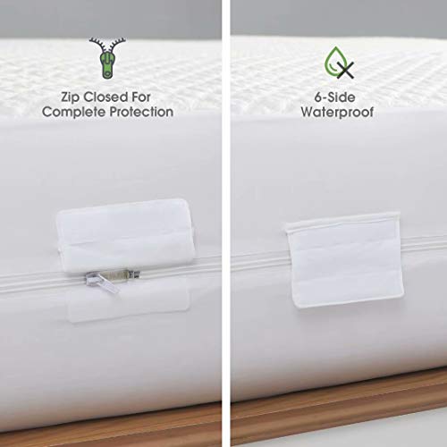 Queen Size Bamboo Rayon Mattress Protector with Zipper 100