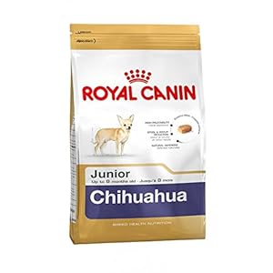Royal canin Chihuahua junior pienso para Chihuahua joven