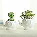 Youfui Cute Succulent Planter Animal Shaped Flower Pot Decor for Home Office Desk (Elephant L)