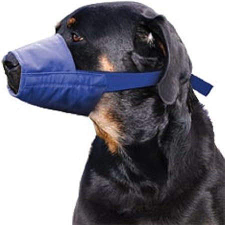 four flags dog muzzle