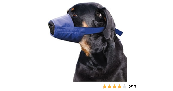 four flags dog muzzle