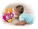 Fisher-Price Growing Baby Clack & Play Crab