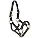 Intrepid International Mini Horse Halter Durable Nylon Miniature Horse Halter w/ Adjustable Chin & Throat Snap Mini Horse Halters for Miniature Horse