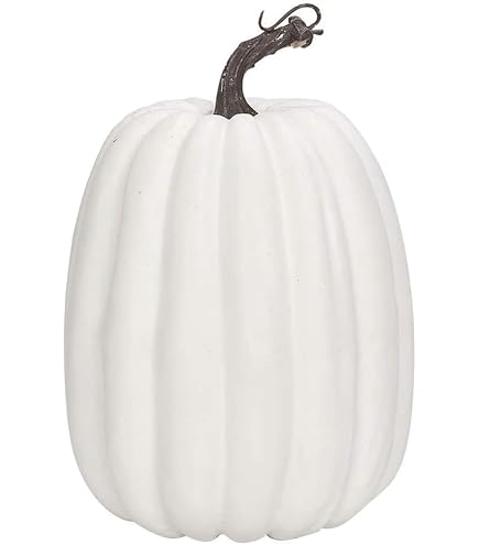 Amazon.com: K&K Interiors 41488C-WH 12 Inch White Velvet