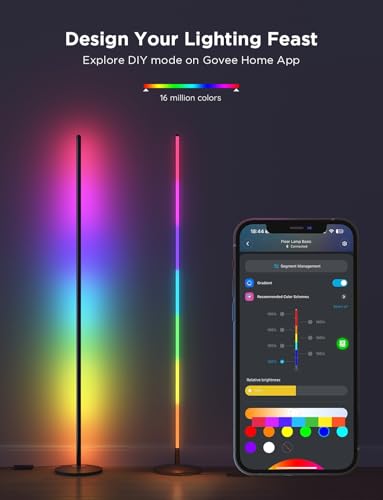 Govee RGBIC LED Floor Lamp Living Room, WiFi Floor Lamp, Dimmable, Work with Alexa and Google Assistant, 16 Million Colours, 58 Scene Modes, Music Modes, DIY Mode for Bedroom Gaming, Black