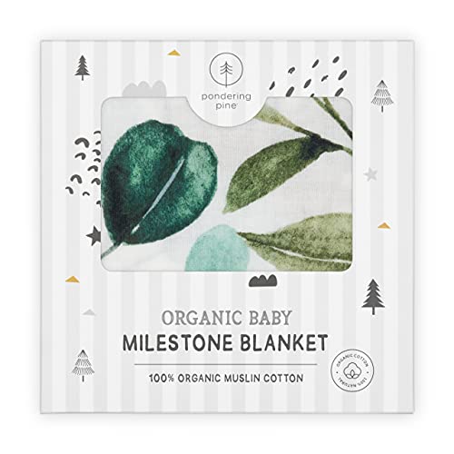 Organic Baby Monthly Milestone Blanket Neutral Milestone Blanket Boy