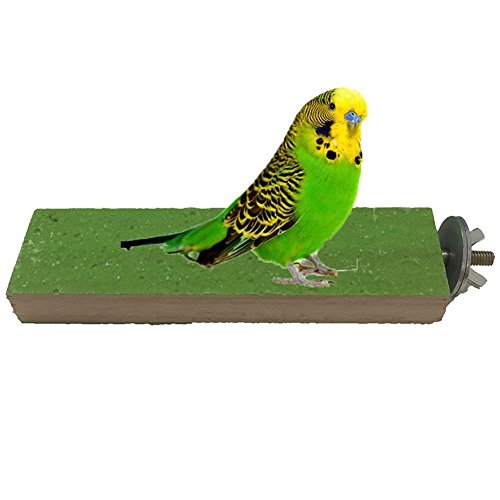 Borange Bird Platform Parrot Perches Birds Natural Woood Stand Quartz Sands Hardwood Branches Perch for Small and Medium Birds Parakeet Conure Cockatiel Budgie