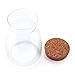 MuciHom Glass Jar with Cork Lid 25/38oz - Set of 2, BPA Free High Borosilicate Glass Food Storage Container Cookies Jar Containers with Cover