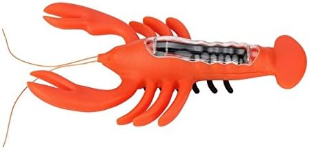 Qinmay NEW Solar Powered Lobsters Gadget Brain Game Kids Educational Toys Solar Toys