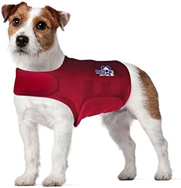 Dog Anxiety Calming Wrap, Medium, Sangria