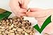 Oh! Nuts 2 LB Specialty Pistachios Finely Salted | Imported Turkish Antep Pistachios Roasted and Lightly Salted (Package May Vary)