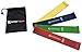 WODFitters Bandelicious Mini Bands Set - 4 Exercise Workout Resistance Bands - Exercise Loops - Workout Flexbands for Stretching, Physical Therapy, Rehab, Home Fitness and Muscle Activation