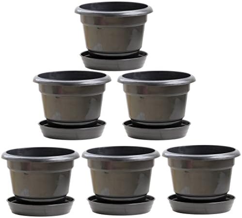 NOVICZ Heavy Duty Plastic Plant Pot/Planter Pots with Bottom Tray - 6PCS Black Color
