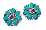 Absolutely Audrey Blue Shoe Clips Vivienne