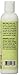 Reviva Labs Stretch Mark Prevention Lotion with Collagen and Elastin, 8 Fluid Ounce