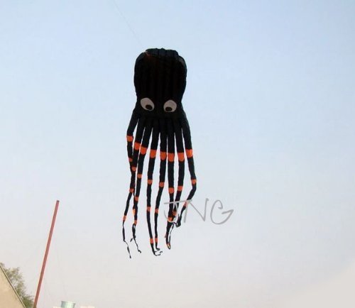 2 Amazonas+Presentz%25C2%25AE+Octopus+Parafoil+Outdoor