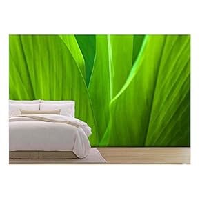 Green Leaf Background Abstract of Nature - Removable Wall Mural | Self-Adhesive Large Wallpaper - 66x96 inches