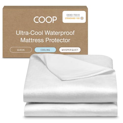 Coop Home Goods Cooling Mattress Protector