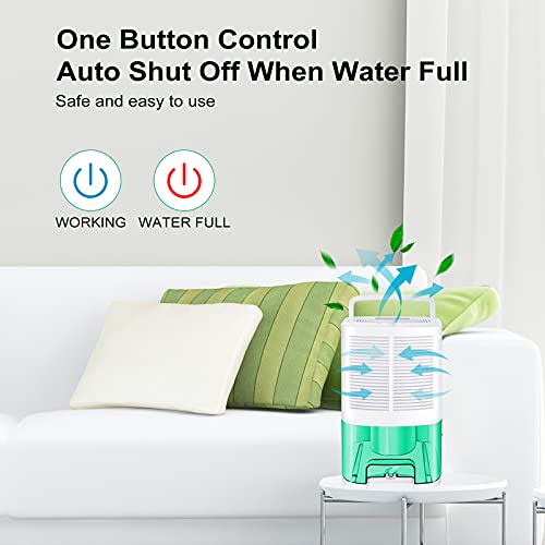 MADETEC Upgraded Dehumidifiers for Home (480 Sq.ft), Small Portable Dehumidifier with Drain Hose and 64oz Water Tank , Ideal for Basements Bedroom Bathroom Closet Kitchen RV