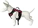 PUPTECK Best No-Pull Dog Harness with Vertical Handle,Calming Adjustable Reflective Outdoor Adventure Pet Vest