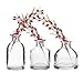 CHIVE ‘Loft’ Clear Glass Flower Vases — Set of 7 — Small, Cute Apothecary Bottle Bud Vase for Flowers — Beautiful Wedding Table Centerpieces & Home Decor — Assorted Clear Shapes