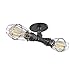 Ceiling Light Double