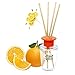binca vidou Reed Diffuser Orange and Lemon, 3.4 Fl.oz/100ml, Citrus Scented Reed Diffuser Set with 6 Natural Bamboo Sticks, Strong and Long Lasting Fragrance, Last 50 Days