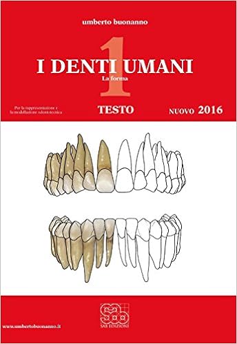 Amazonit I Denti Umani Tavole Disegno Tecnico Per Le