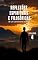 Livro Reflexões Espirituais e Filosóficas de um Caminhante Solitário - Vol. 4 (Espiritualidade Fundamental)