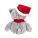 WILDREAM Christmas Plush Teddy Bear Stuffed Animals with Christmas Hat First Teddy Bear Plush for Boys Girls Soft Gifts for Thanksgiving Day/Birthday Christmas 10.8 Inches (Light Gary)