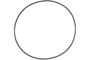 VICTOR REINZ MAHLE Original MAHLE K31629 Engine Water Pump Backing Plate Gasket