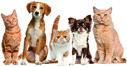 Cszbh Papier Peint Mural 3d Auto Adhésif W 520x H 290cm