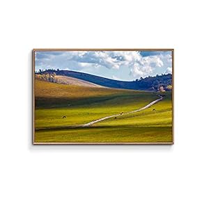 Framed Canvas Wall Art for Living Room, Bedroom Plain Canvas Prints for Home Decoration Ready to Hang - 16x24 inches