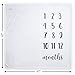 Premium Mink Fleece Baby Milestone Blanket for Newborn, Infant, Boys & Girls - Bonus Monthly Floral Wreath