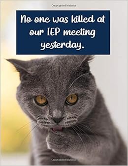 Amazon Com No One Was Killed At Our Iep Meeting Yesterday Funny Notebook For Special Education Teachers Great Iep Gift 9798654733771 Journey Iep Books Amazon Com No One Was Killed At Our Iep Meeting Yesterday Funny Notebook For Special Education Teachers Great Iep Gift 9798654733771 Journey Iep Books