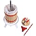 Costzon Fruit Wine Press, 1.6 Gallon /6 Liter Solid Wood Basket, Cider Apple Grape Crusher for Kitchen, Juice Make