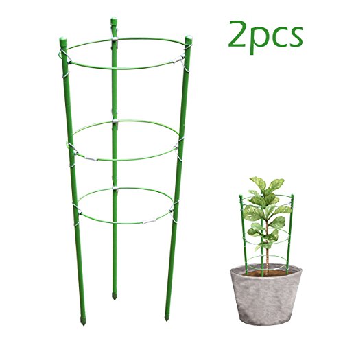SKEMIX Plant Support Garden Support Rings Trellis Supporter for Climbing Plants Flowers