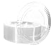 Springbok Creations 50 Disposable Clear Plastic Dinner Plates (10-inch)