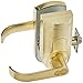 iTouchless Bio-Matic Fingerprint Door Lock, Left Handle, Gold