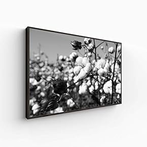 Canvas Wall Art for Living Room, Bedroom Monochrome Plants Framed Canvas Prints for Home Decoration Ready to Hang - 16x24 inches