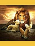 Secret Time Journal and Daily Reflections: Discover the Lion within and run to win by Gwen Goneke