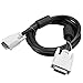 StarTech.com 6ft Dual Link DVI Cable M/M DVI-D Video Cable for Your Computer Monitor / Display DVI to DVI Cord (DVIDDMM6)
