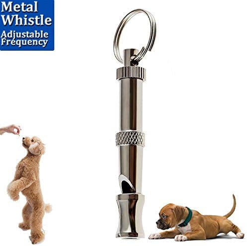 device to stop dog whining