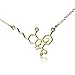 Clayton Jewelry Labs THC Tetrahydrocannabinol Weed Marijuana Molecule Stainless Steel Necklace (Gold1)