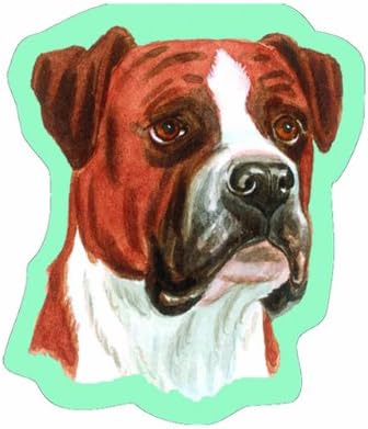 Little Gifts 2-Pack Sticky Notes, Boxer