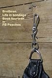 Brethren, life in bondage, book fourteen (Brethren life in bondage 14)